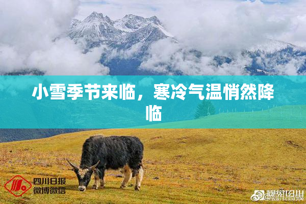 小雪季节来临，寒冷气温悄然降临