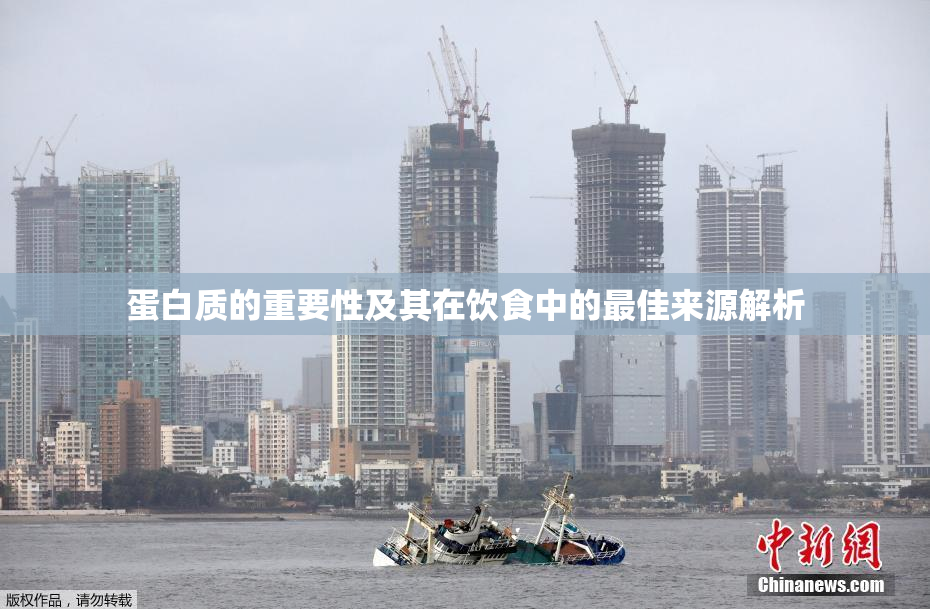 蛋白质的重要性及其在饮食中的最佳来源解析