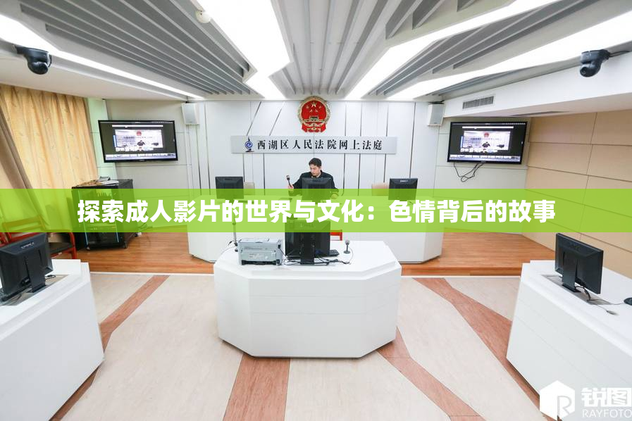 探索成人影片的世界与文化：色情背后的故事