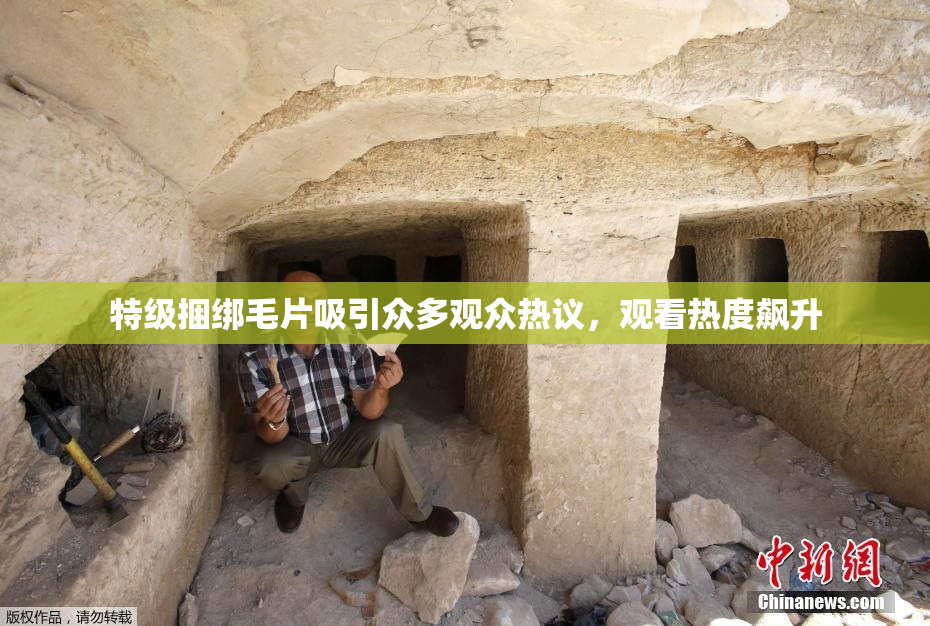 特级捆绑毛片吸引众多观众热议，观看热度飙升