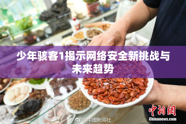 少年骇客1揭示网络安全新挑战与未来趋势