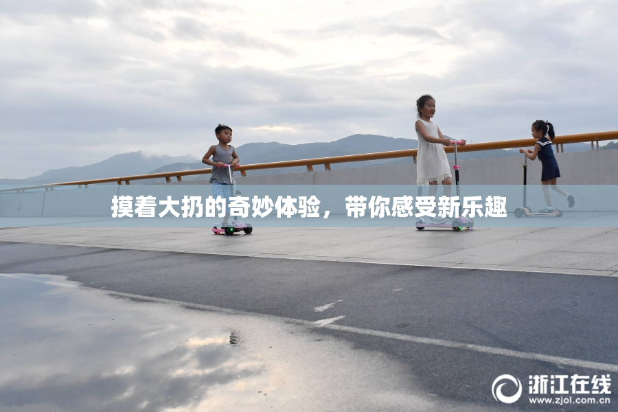摸着大扔的奇妙体验，带你感受新乐趣