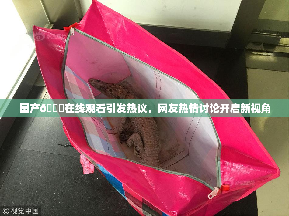 国产🔞在线观看引发热议，网友热情讨论开启新视角