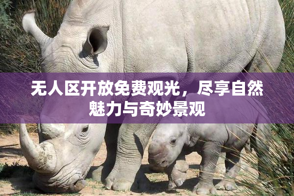 无人区开放免费观光，尽享自然魅力与奇妙景观
