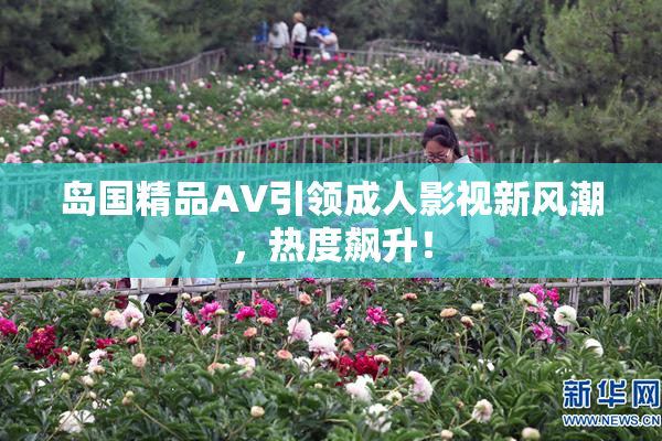 岛国精品AV引领成人影视新风潮，热度飙升！