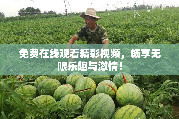 免费在线观看精彩视频，畅享无限乐趣与激情！