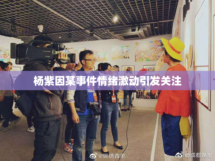 杨紫因某事件情绪激动引发关注