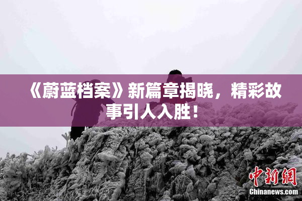 《蔚蓝档案》新篇章揭晓，精彩故事引人入胜！