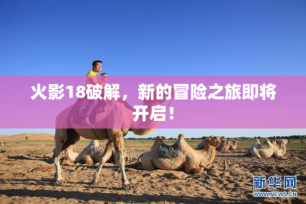 火影18破解，新的冒险之旅即将开启！