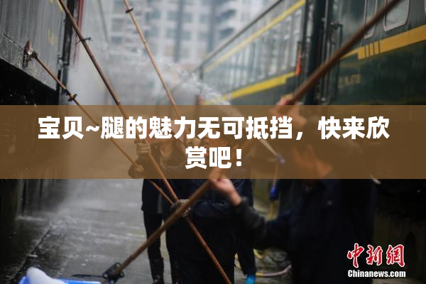 宝贝~腿的魅力无可抵挡，快来欣赏吧！