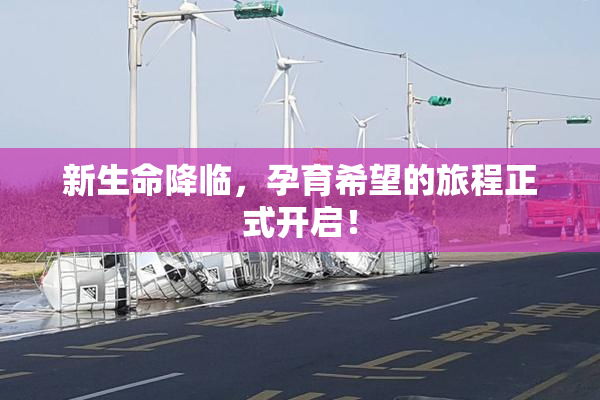 新生命降临，孕育希望的旅程正式开启！