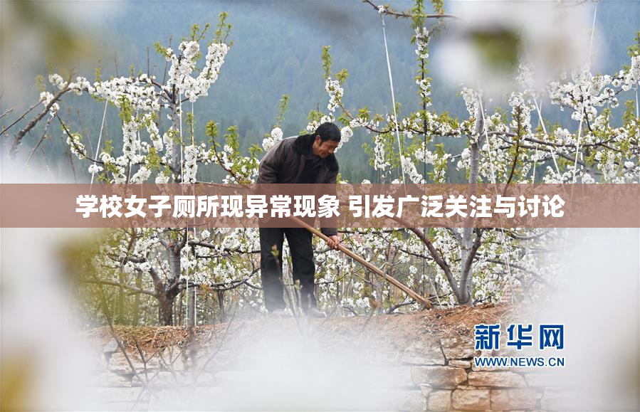 学校女子厕所现异常现象 引发广泛关注与讨论