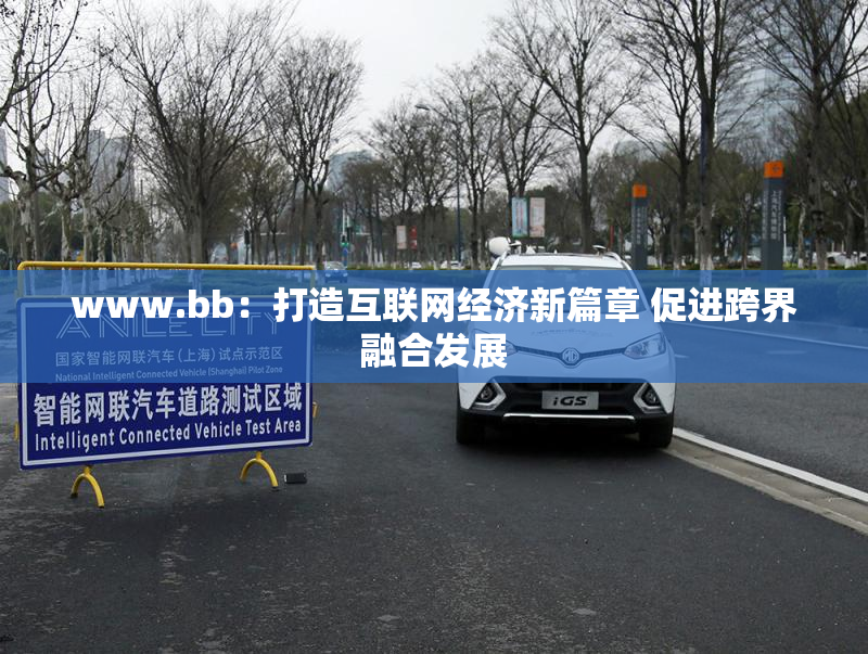 www.bb：打造互联网经济新篇章 促进跨界融合发展