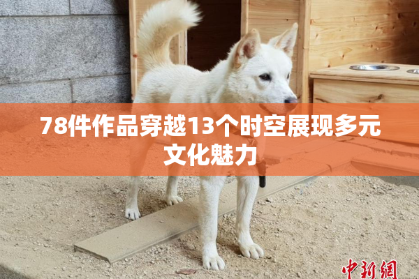 78件作品穿越13个时空展现多元文化魅力
