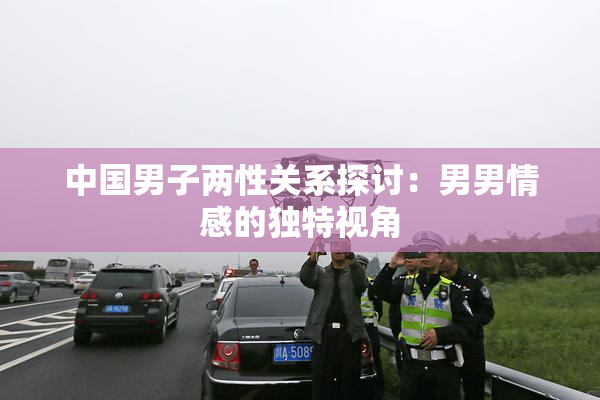 中国男子两性关系探讨：男男情感的独特视角