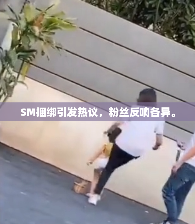 SM捆绑引发热议，粉丝反响各异。