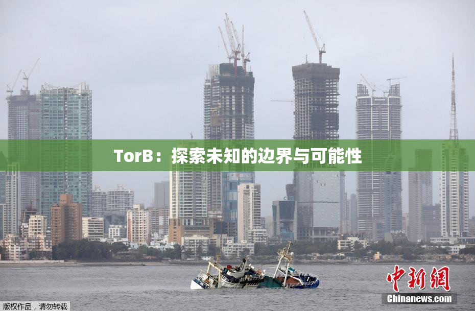 TorB：探索未知的边界与可能性
