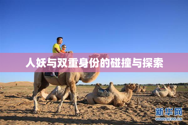 人妖与双重身份的碰撞与探索