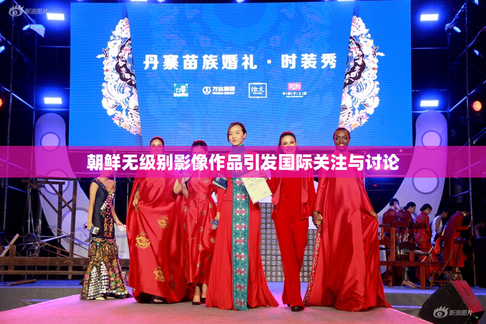 朝鲜无级别影像作品引发国际关注与讨论