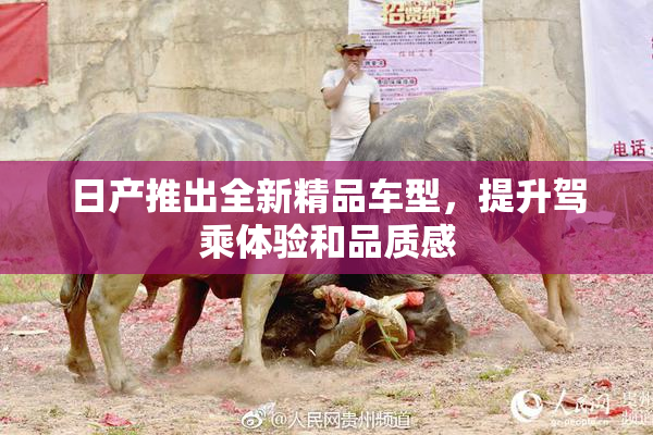 日产推出全新精品车型，提升驾乘体验和品质感