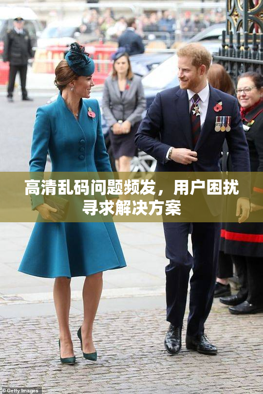 高清乱码问题频发，用户困扰寻求解决方案