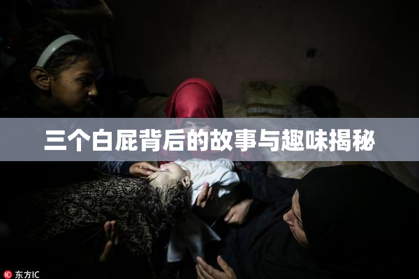 三个白屁背后的故事与趣味揭秘