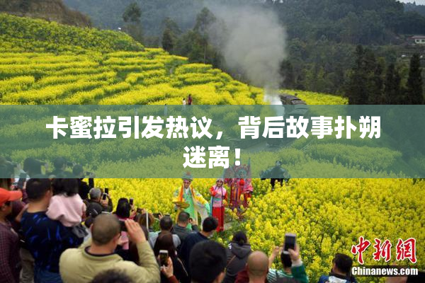 卡蜜拉引发热议，背后故事扑朔迷离！