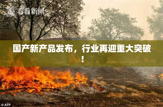 国产新产品发布，行业再迎重大突破！
