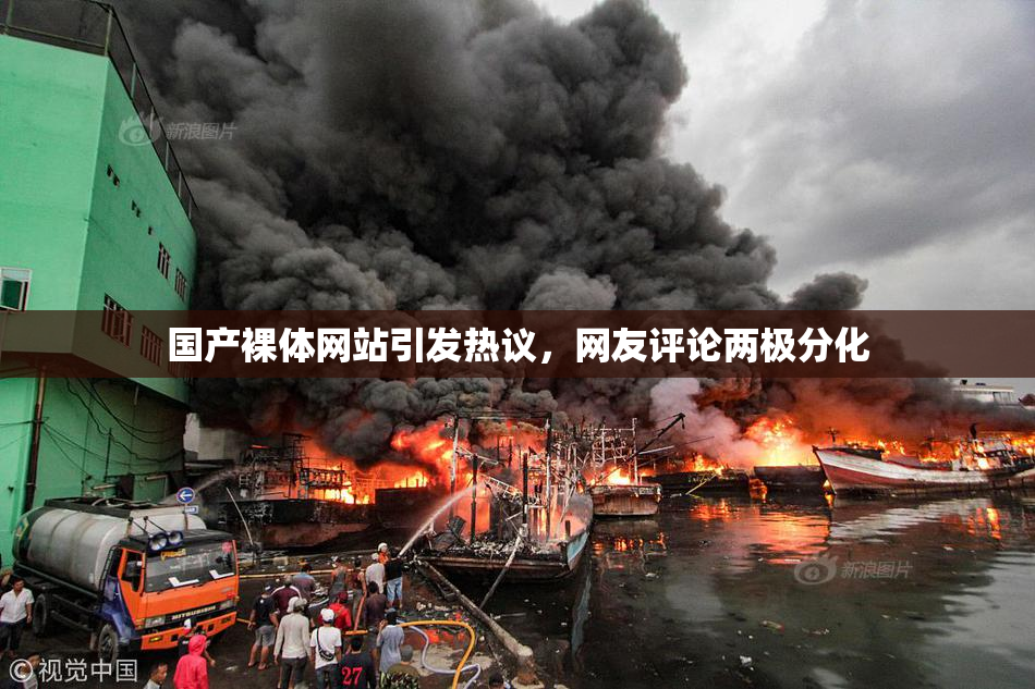 国产裸体网站引发热议，网友评论两极分化