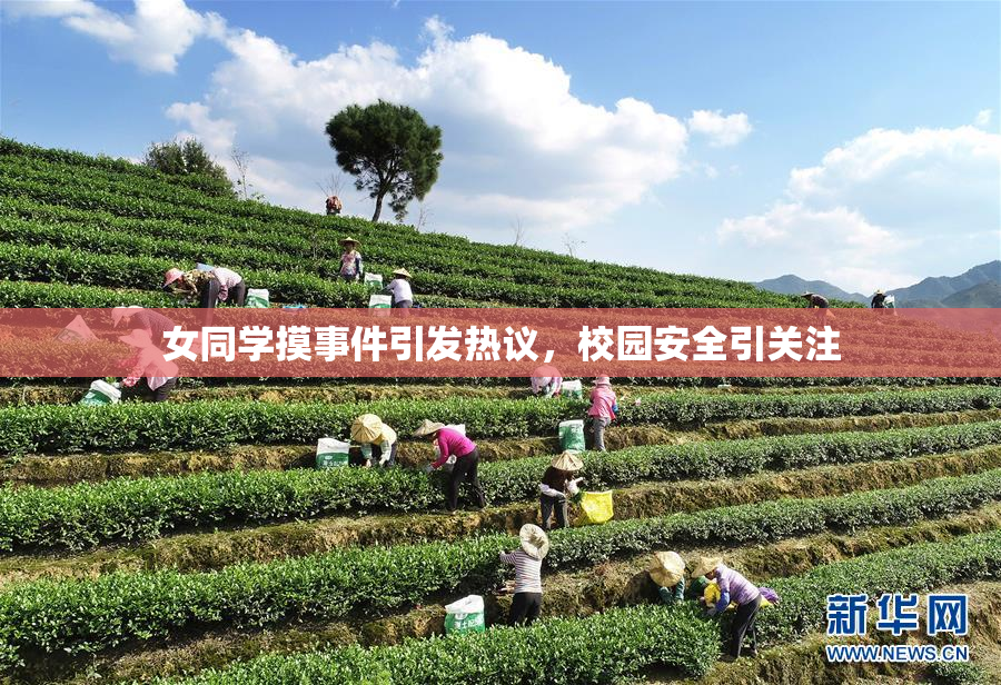 女同学摸事件引发热议，校园安全引关注