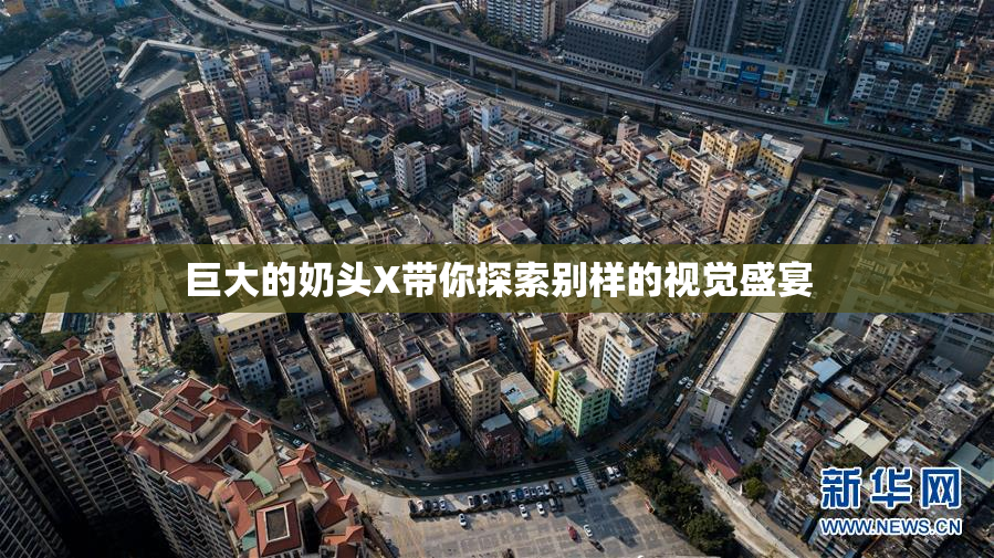 巨大的奶头X带你探索别样的视觉盛宴