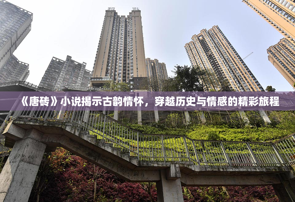 《唐砖》小说揭示古韵情怀，穿越历史与情感的精彩旅程