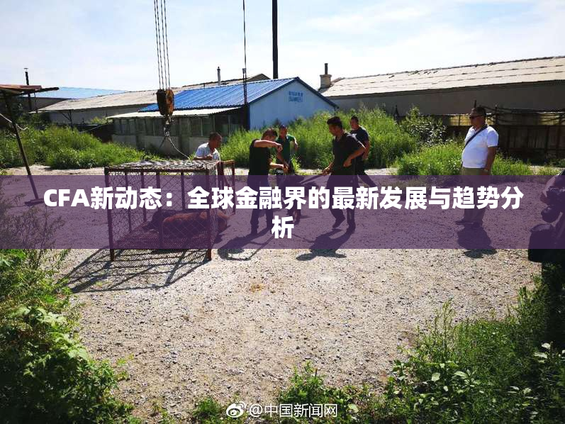 CFA新动态：全球金融界的最新发展与趋势分析