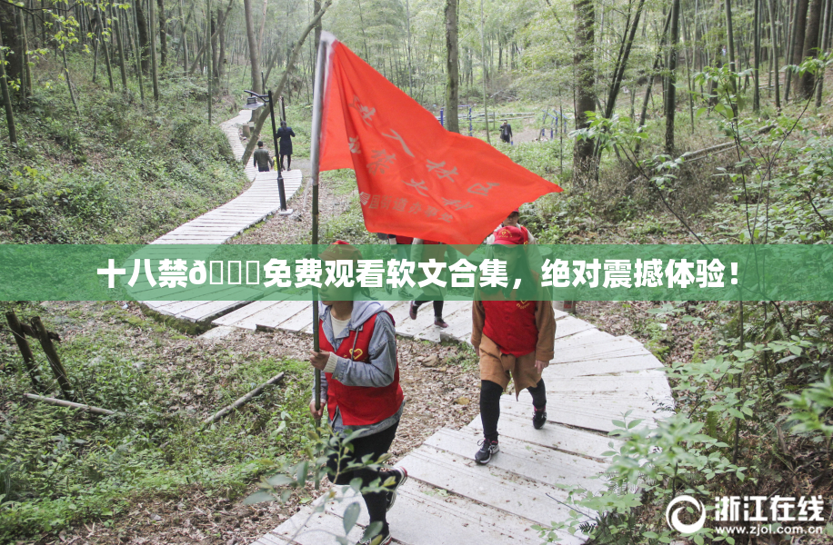 十八禁🔞免费观看软文合集，绝对震撼体验！