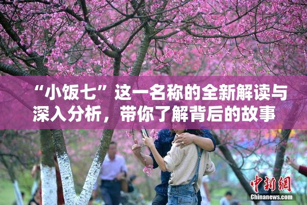 “小饭七”这一名称的全新解读与深入分析，带你了解背后的故事与文化。
