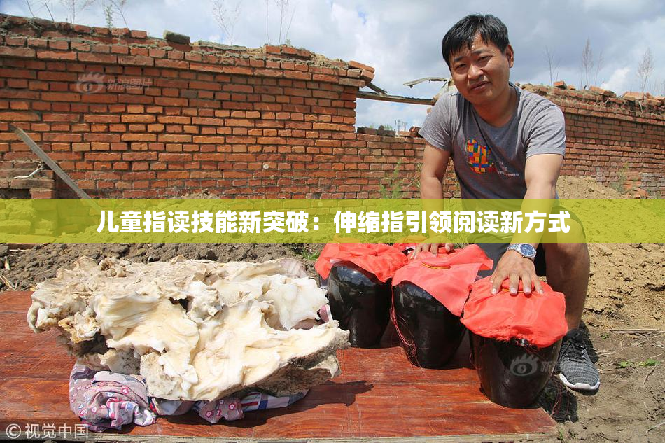 儿童指读技能新突破：伸缩指引领阅读新方式