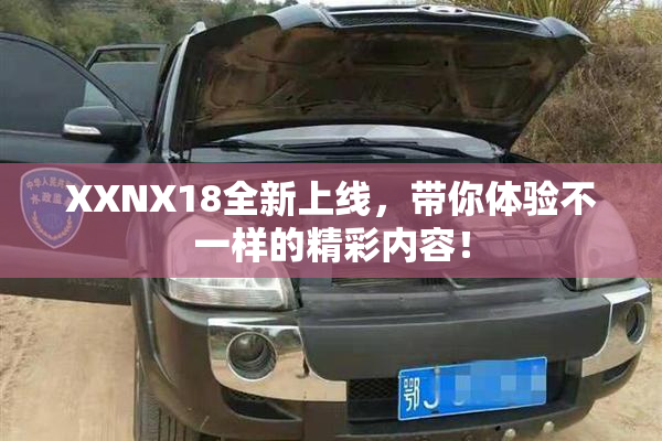 XXNX18全新上线，带你体验不一样的精彩内容！
