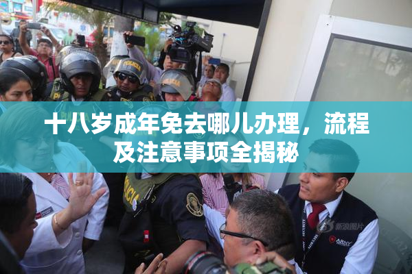 十八岁成年免去哪儿办理，流程及注意事项全揭秘