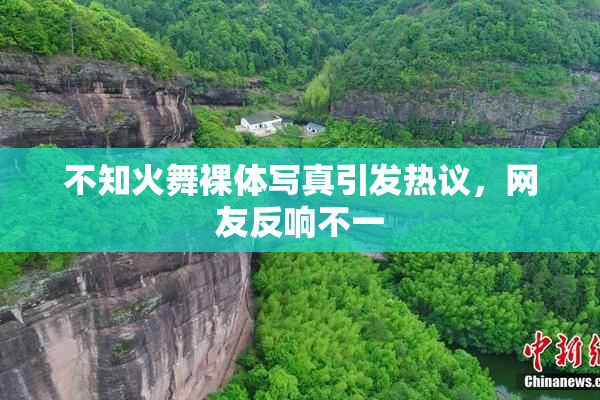 不知火舞裸体写真引发热议，网友反响不一