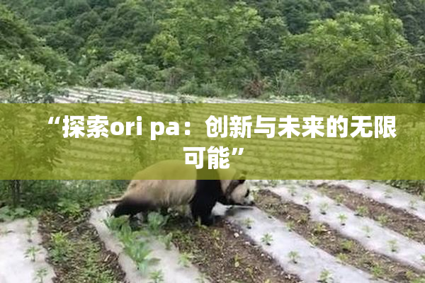“探索ori pa：创新与未来的无限可能”
