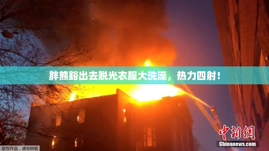 胖熊豁出去脱光衣服大洗澡，热力四射！