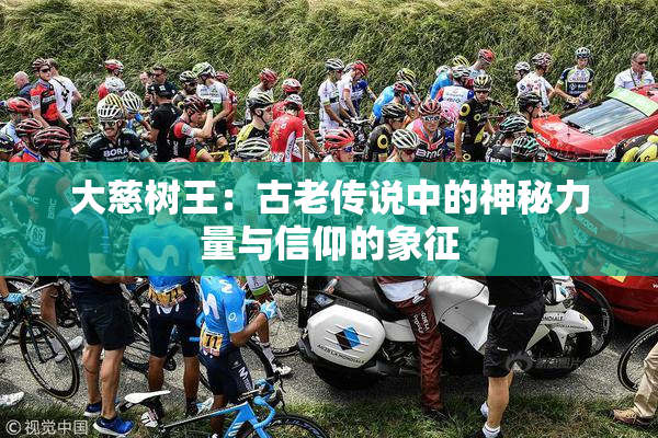 大慈树王：古老传说中的神秘力量与信仰的象征