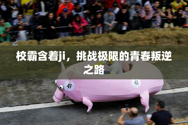 校霸含着ji，挑战极限的青春叛逆之路