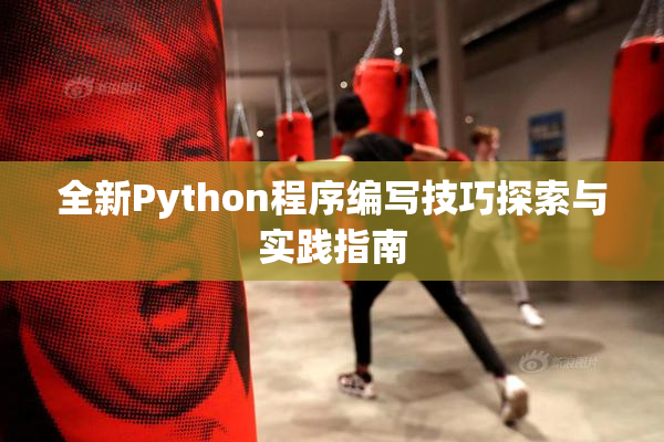 全新Python程序编写技巧探索与实践指南