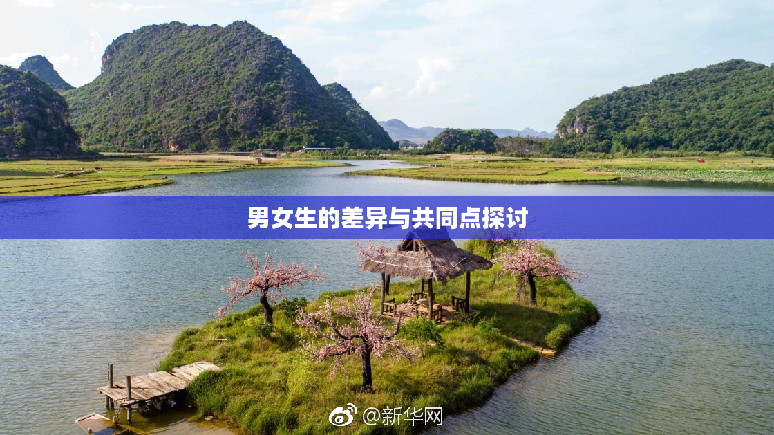 男女生的差异与共同点探讨