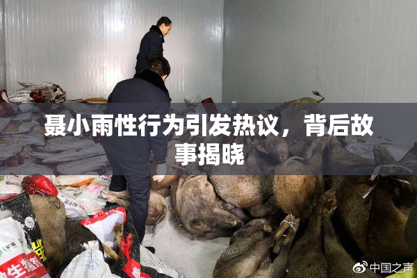 聂小雨性行为引发热议，背后故事揭晓