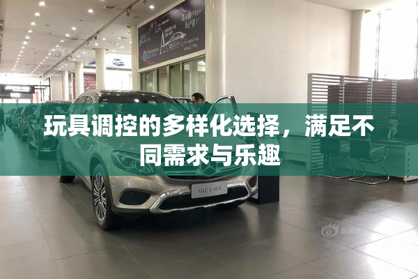 玩具调控的多样化选择，满足不同需求与乐趣