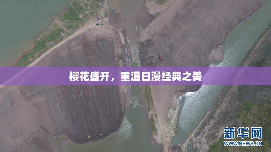 樱花盛开，重温日漫经典之美