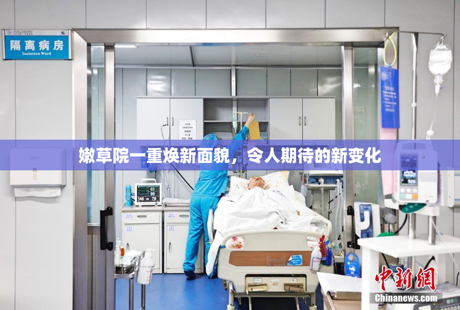 嫩草院一重焕新面貌，令人期待的新变化