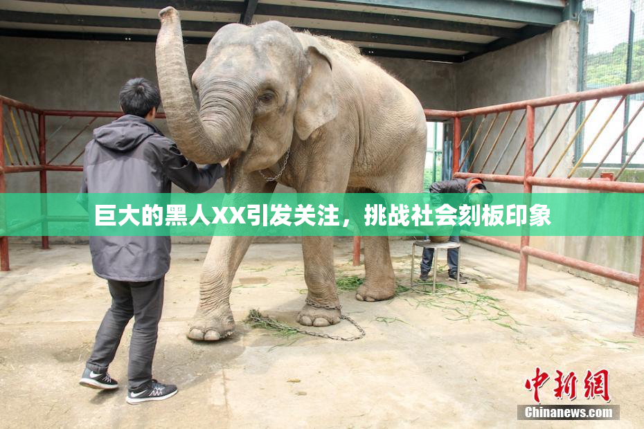 巨大的黑人XX引发关注，挑战社会刻板印象